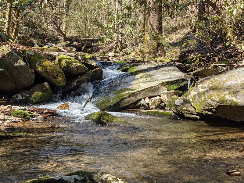 Trout Streams and a Day by the Creek Trout Streams and a Day by the Creek