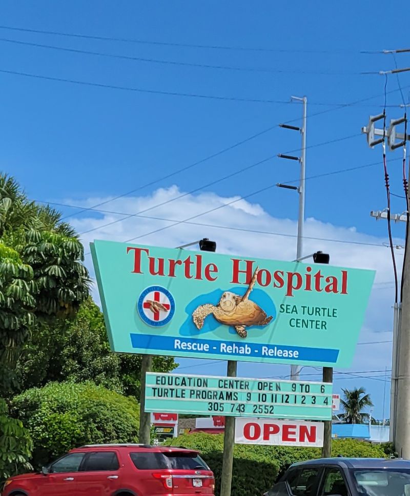 Turtle Hospital, Marathon, FL Turtle Hospital, Marathon, FL