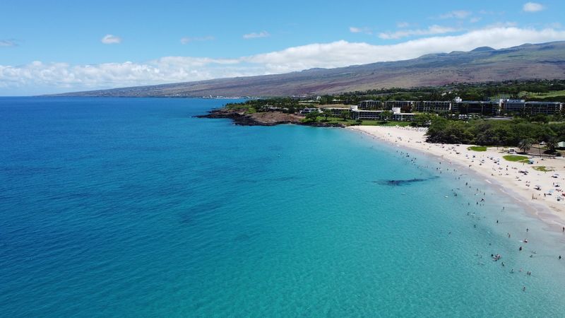 Turtles, Snorkeling, and What to Expect