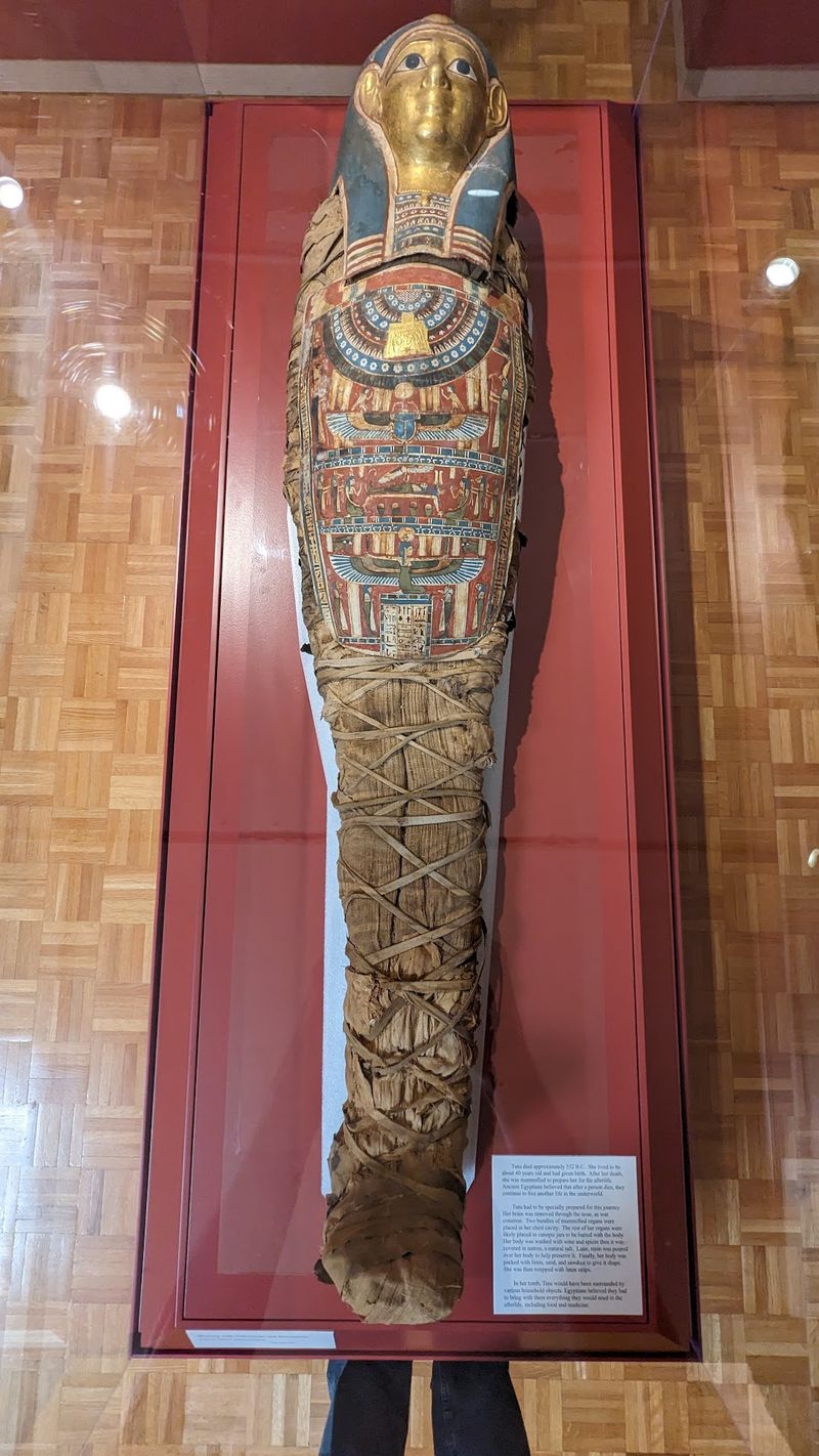 Tutu: The Egyptian Mummy at the Heart of It All Tutu: The Egyptian Mummy at the Heart of It All