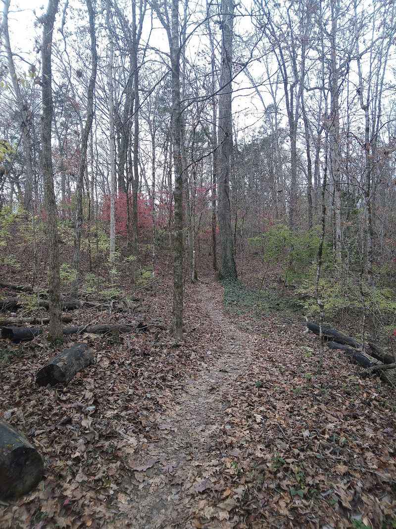 Twelve Miles From One Parking Spot