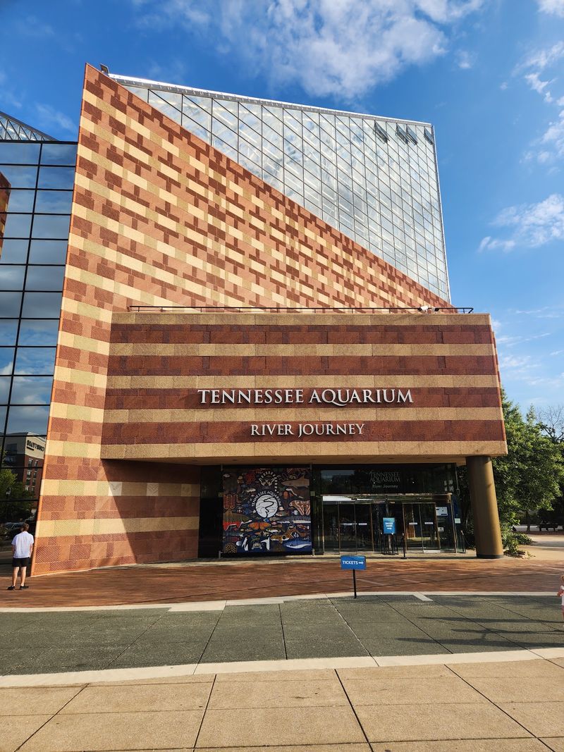 Two Buildings, One Big Adventure