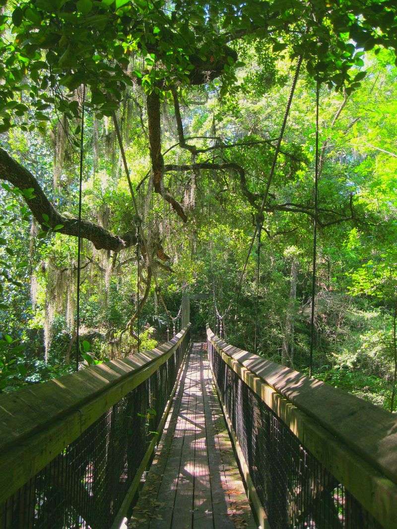 Two Swinging Bridges and a Few Wobbly Knees Two Swinging Bridges and a Few Wobbly Knees