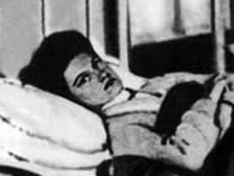 Typhoid Mary Typhoid Mary