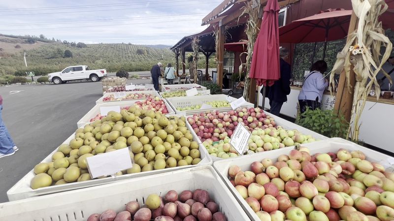 U-Pick Groves and Seasonal Fruit U-Pick Groves and Seasonal Fruit