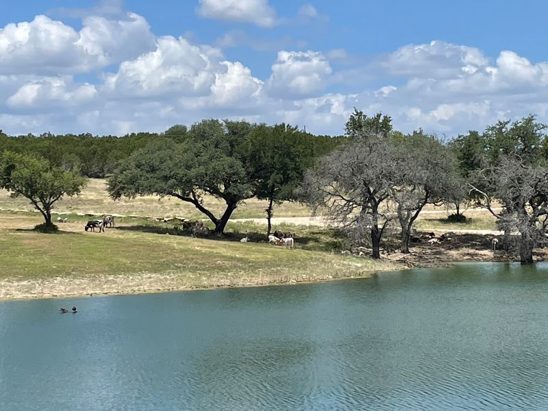 UTV Rides and Ranch Adventures UTV Rides and Ranch Adventures
