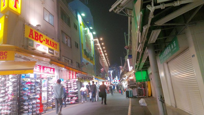 Ueno Park and Ameyoko, Ueno