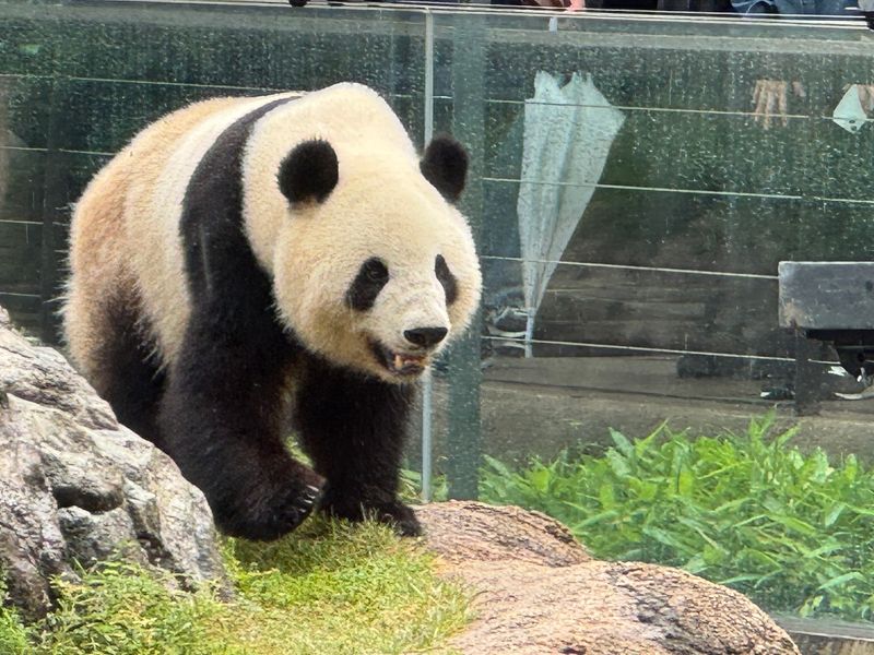 Ueno Zoo, Ueno Ueno Zoo, Ueno