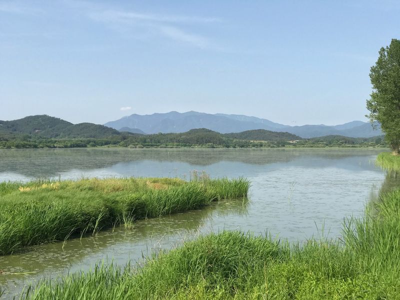 Upo Wetland, Changnyeong, Gyeongsangnam-do Upo Wetland, Changnyeong, Gyeongsangnam-do