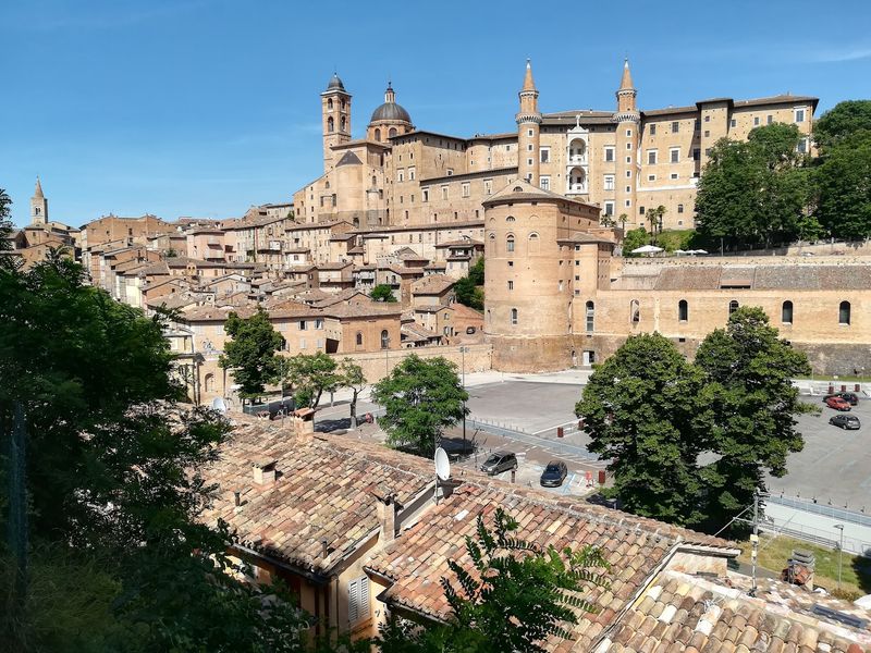 Urbino