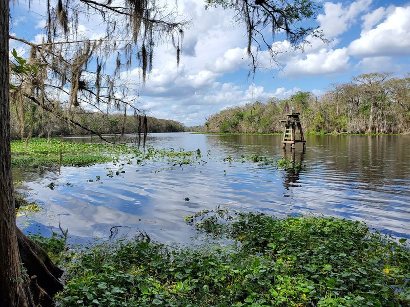 Views of the St. Johns River