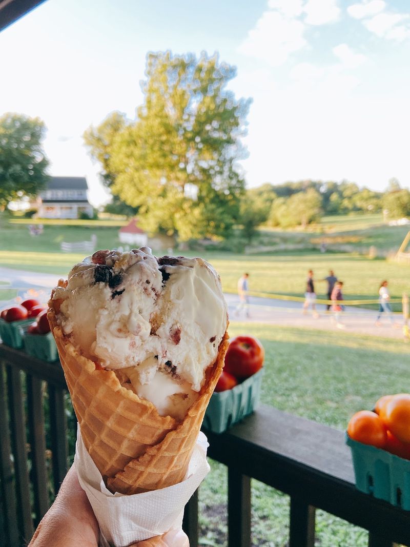 Visiting Hours, Admission, and What to Budget For