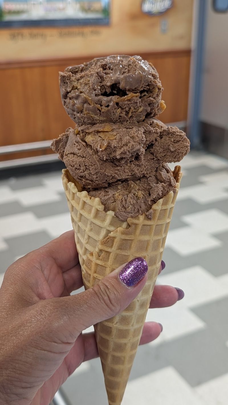 Waffle Cones and Dairy-Free Options Waffle Cones and Dairy-Free Options