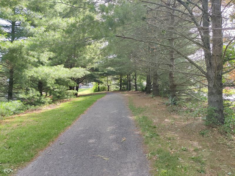 Walking, Running, or Riding Walking, Running, or Riding
