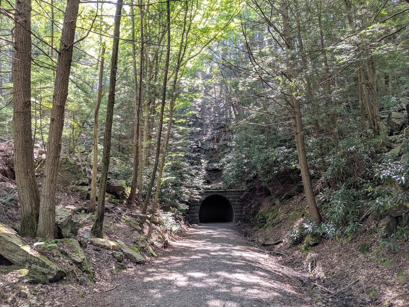 Walking Through a Mountain: The Railroad Tunnel Walking Through a Mountain: The Railroad Tunnel