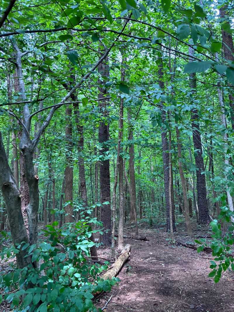 Walking Trails and Open Grounds Walking Trails and Open Grounds