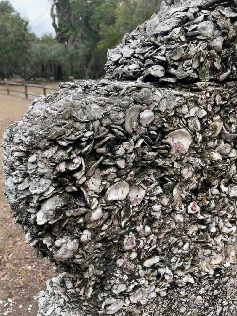 Walls Made of Shells and Time