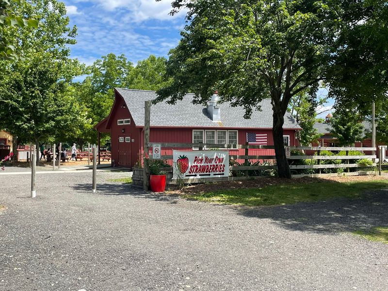 Warm Cider Donuts and Farm Store Treats Warm Cider Donuts and Farm Store Treats