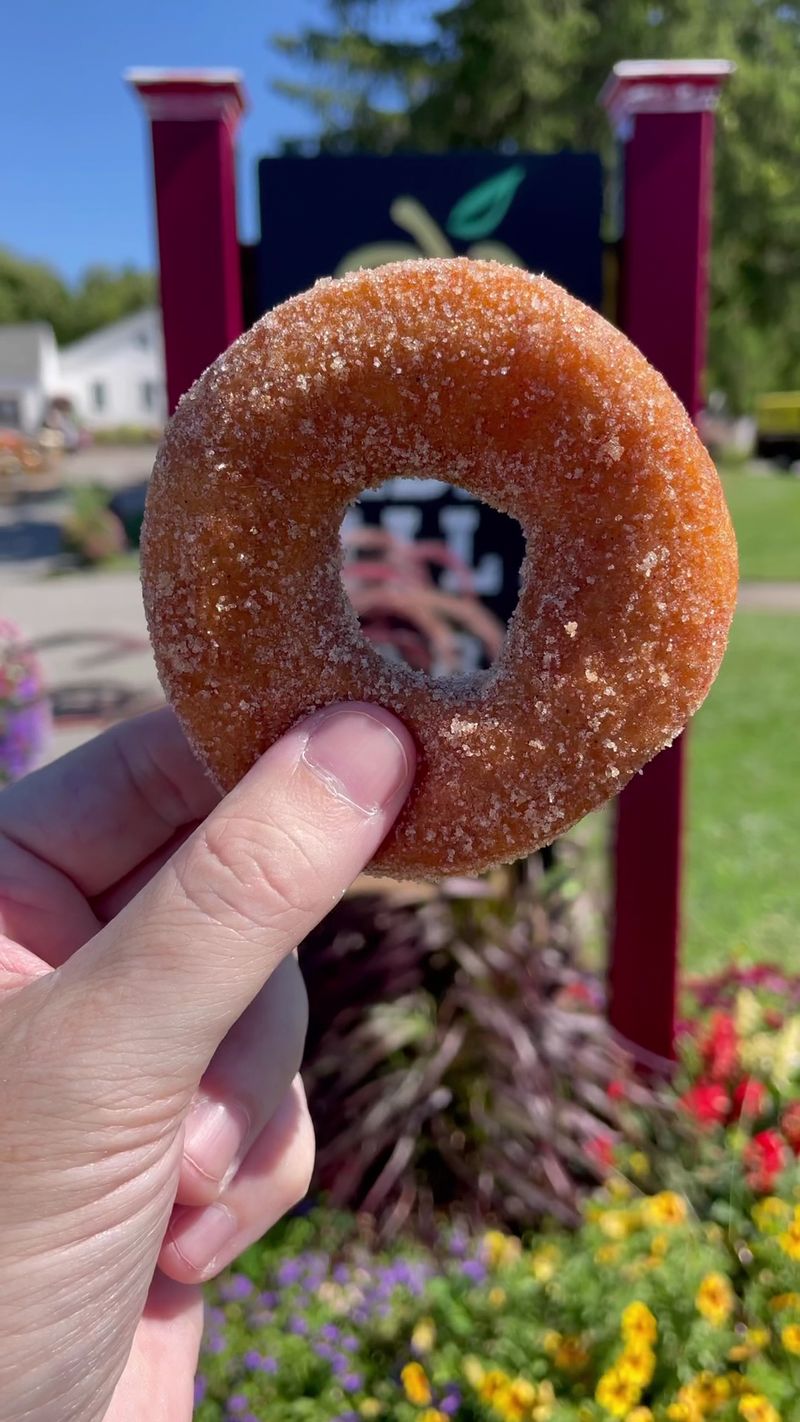 Warm Cider Doughnuts Worth the Drive Warm Cider Doughnuts Worth the Drive