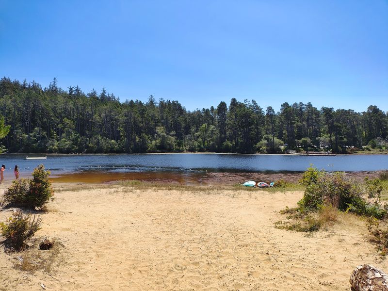 Warm Water Made for Swimming