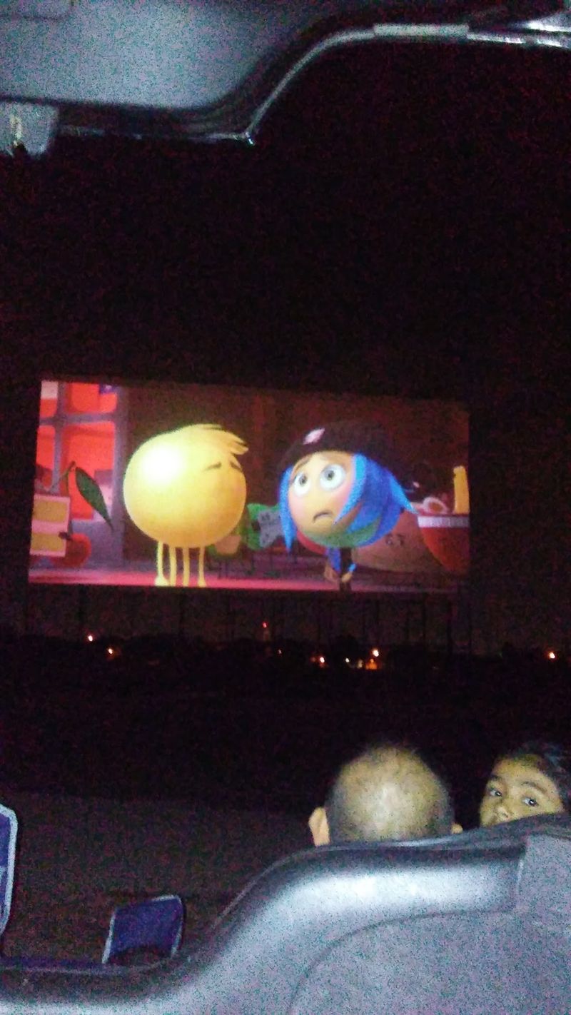 Watching From the Bed of a Truck