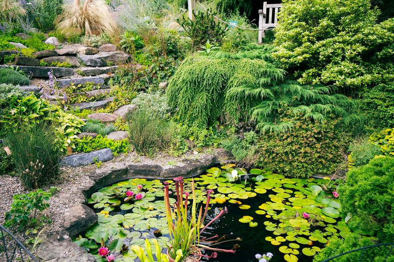 Water Features And Small Landscape Surprises