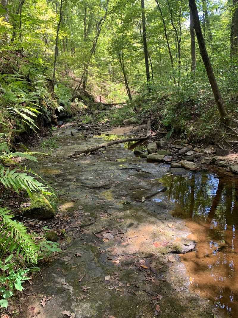 Waterfall Trail, Hickory Canyons, Missouri