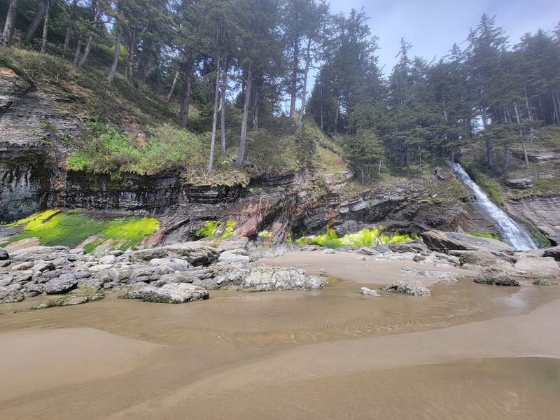Waterfalls, Creeks, and Tide Pools to Explore Waterfalls, Creeks, and Tide Pools to Explore