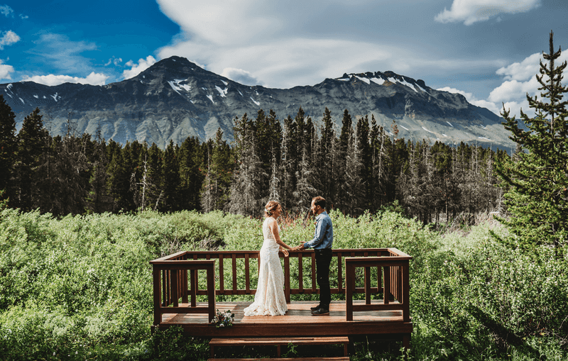 Weddings in the Wild Weddings in the Wild