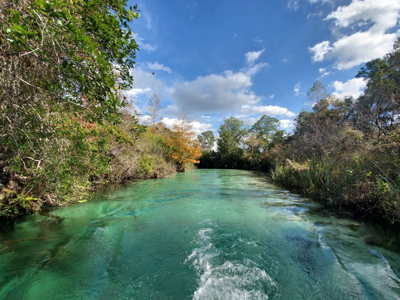Weeki Wachee River, Florida, USA