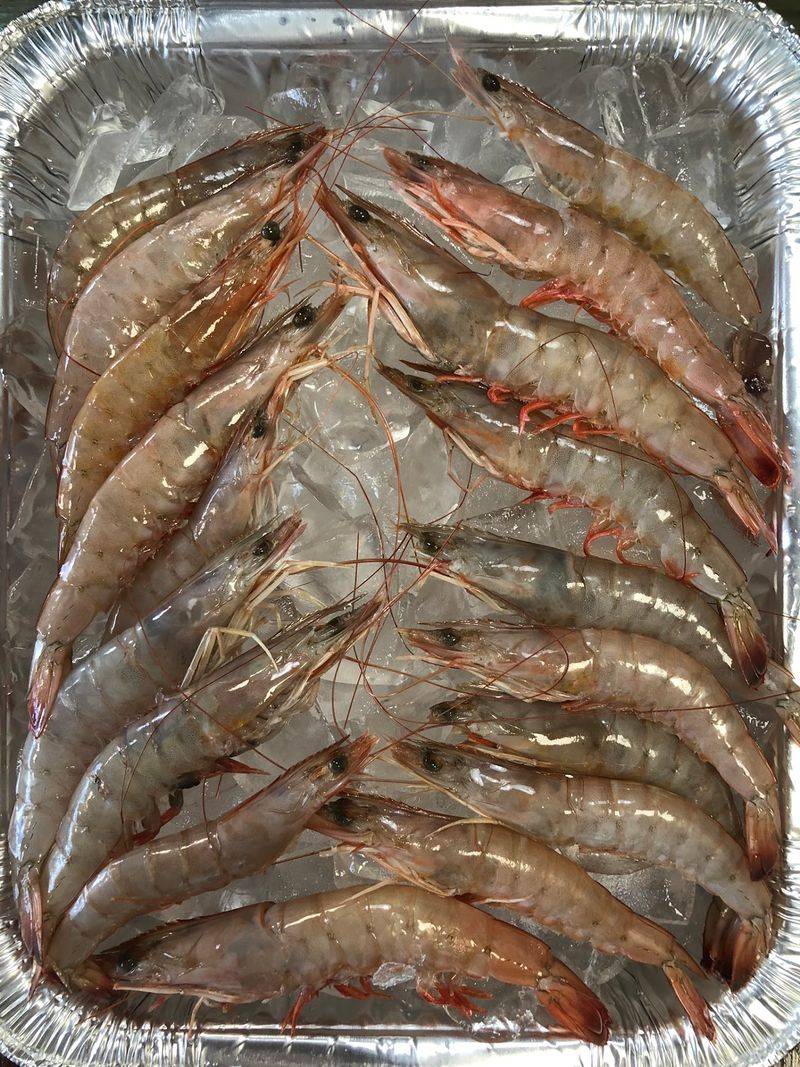 Weekly Gulf Coast Sourcing Runs