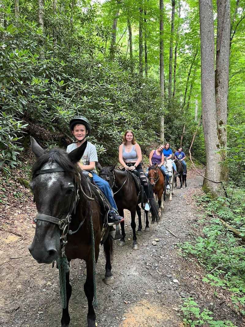 Well-Cared-For Horses You Can Trust