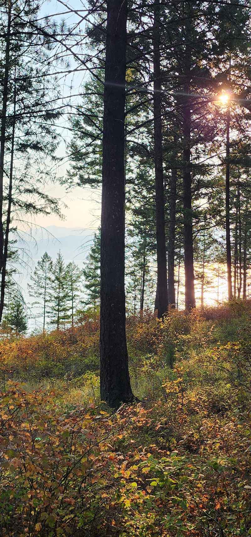 West Shore / Flathead Lake State Park, Lakeside, Montana West Shore / Flathead Lake State Park, Lakeside, Montana