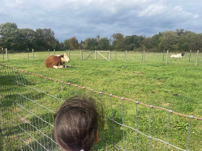 What Makes Farmaste Meaningful for Families With Kids What Makes Farmaste Meaningful for Families With Kids