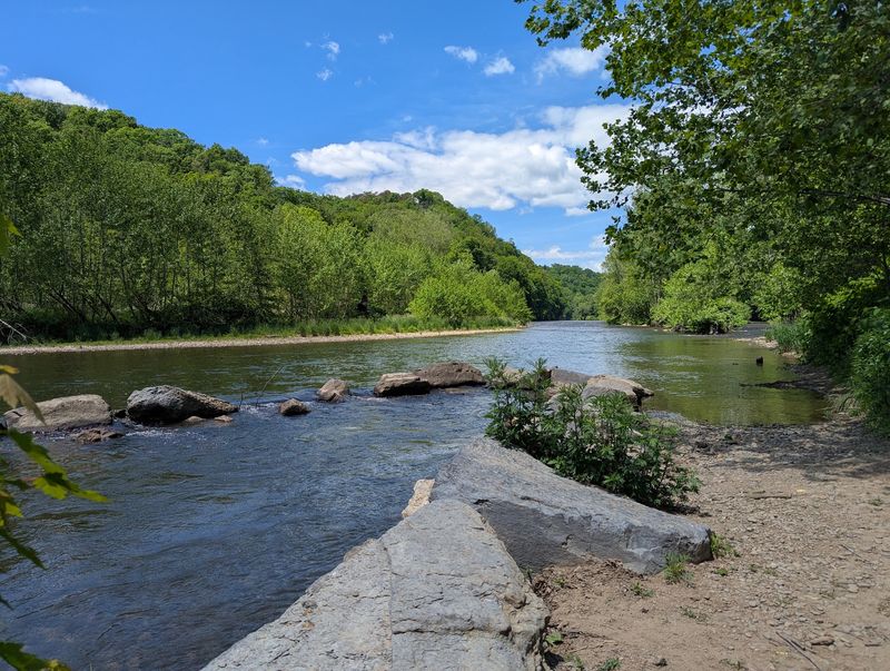 What Makes Fishing Creek Worth the Drive What Makes Fishing Creek Worth the Drive