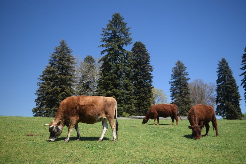 What Regenerative Agriculture Actually Looks Like in Practice What Regenerative Agriculture Actually Looks Like in Practice