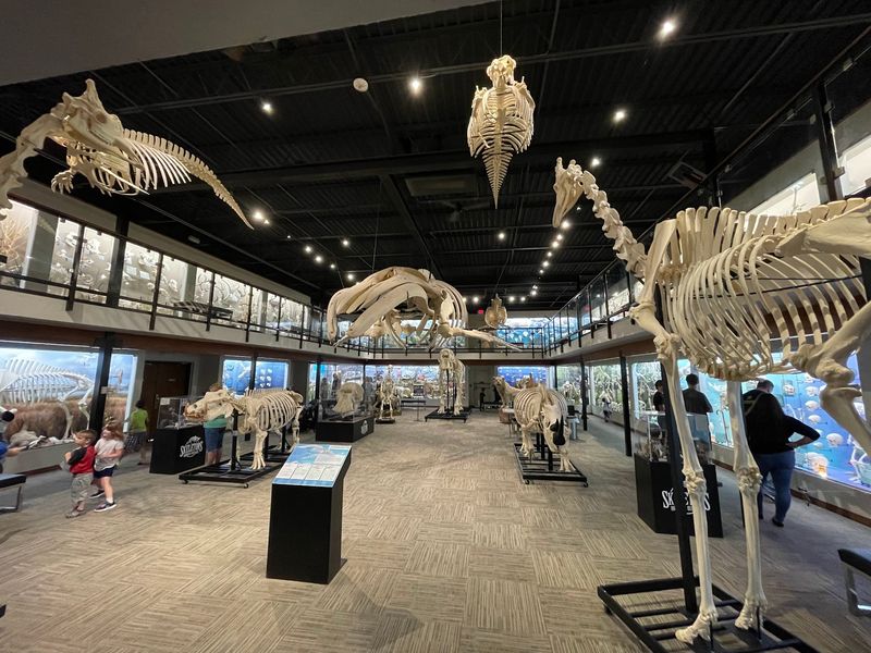 What SKELETONS: Museum of Osteology Actually Is What SKELETONS: Museum of Osteology Actually Is