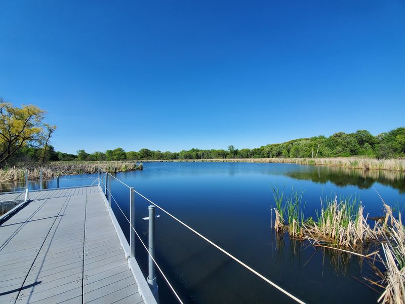 What Springbrook Nature Center Actually Is What Springbrook Nature Center Actually Is