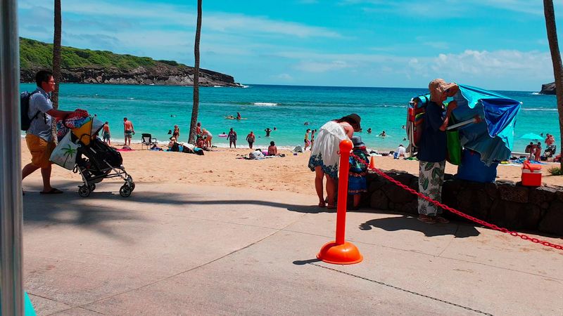 What You Will Find on the Beach and What to Pack What You Will Find on the Beach and What to Pack