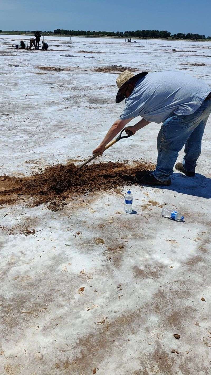 What the Digging Experience Actually Feels Like