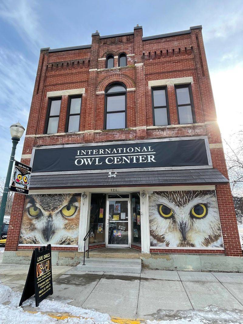 What the International Owl Center Actually Is
