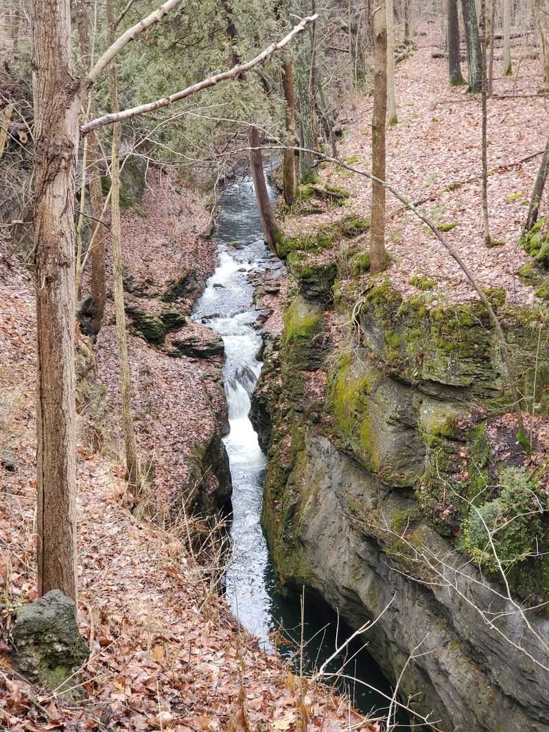What the Nature Preserve Classification Actually Means