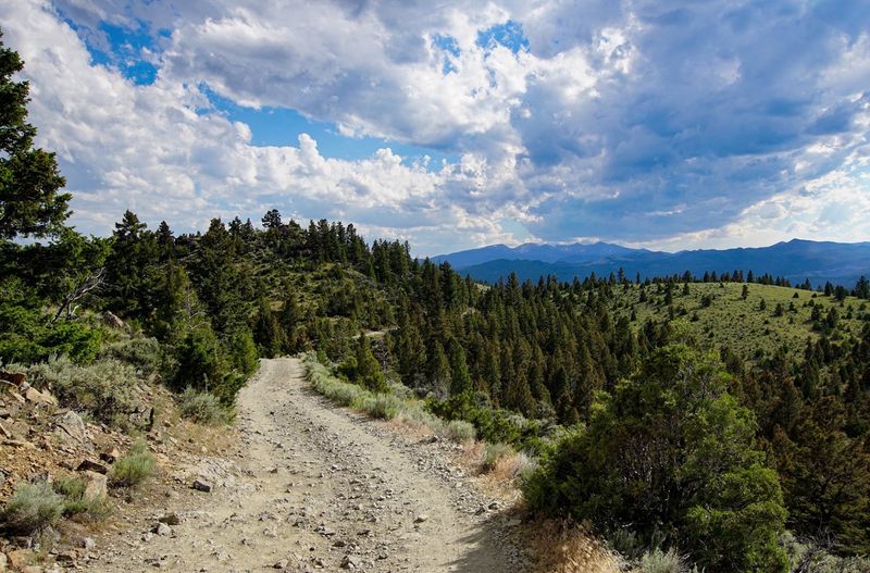 What the Road Actually Feels Like: An Honest Report What the Road Actually Feels Like: An Honest Report