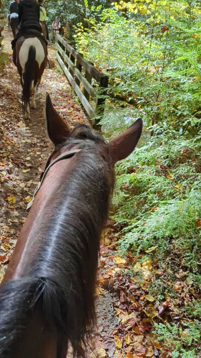 What to Bring Along for the Ride