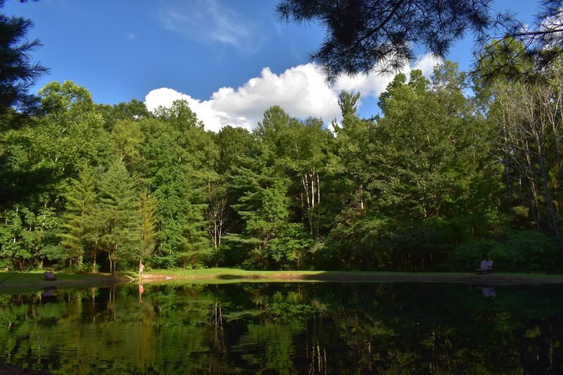 What to Do Beyond the Property Boundaries