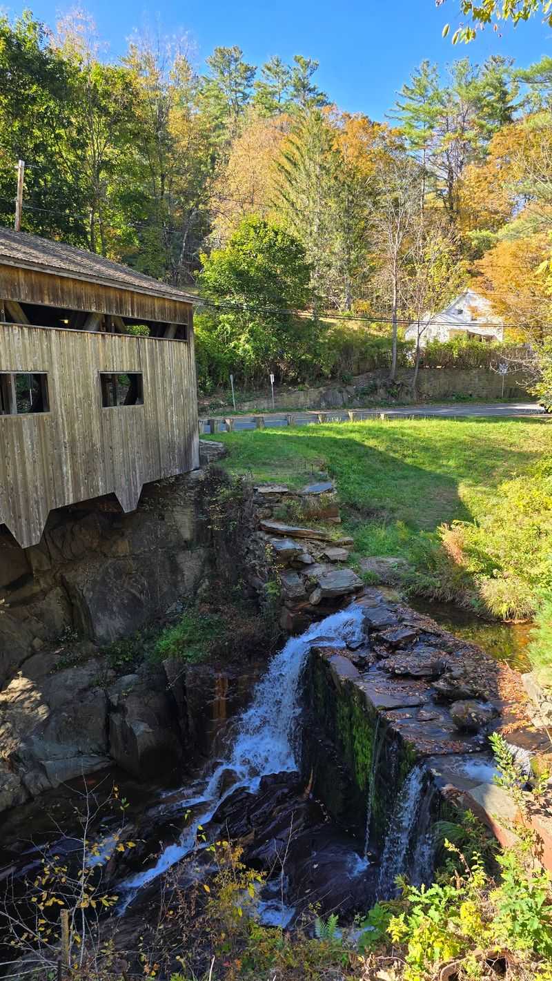 When Fall Colors Steal the Show When Fall Colors Steal the Show