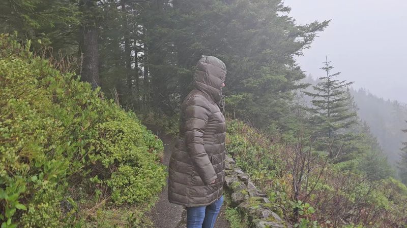 When Fog Rolls Over the Cape