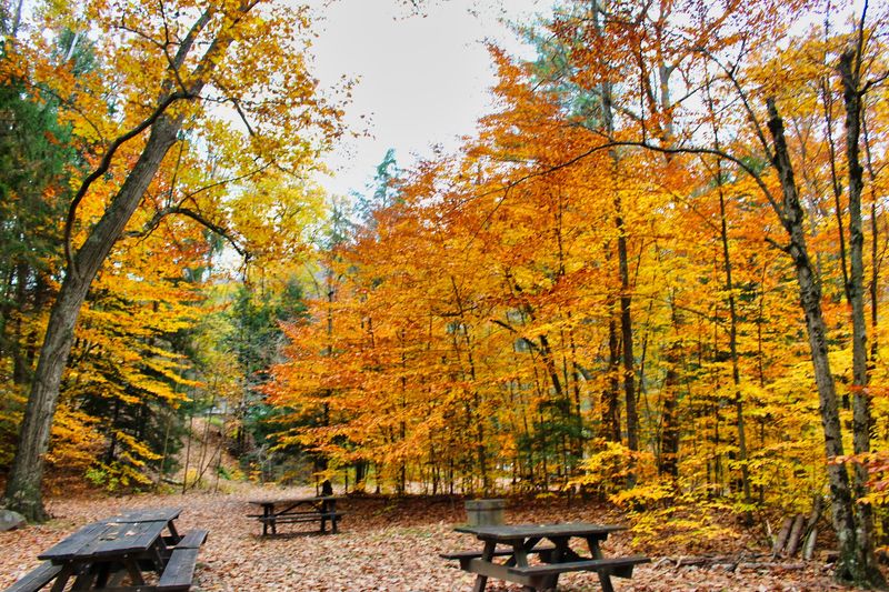 When to Visit and What Each Season Brings When to Visit and What Each Season Brings