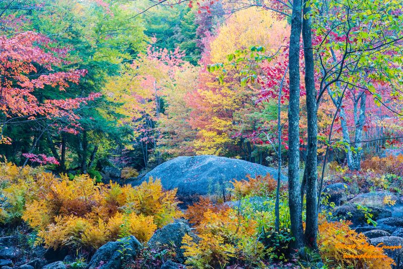 When to Visit and What Each Season Offers When to Visit and What Each Season Offers