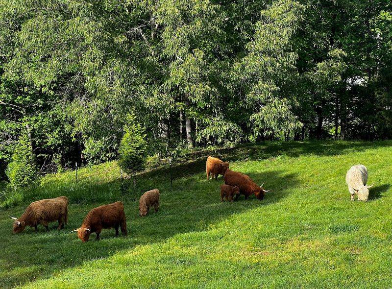 Where Country Roads Lead to Fuzzy Faces Where Country Roads Lead to Fuzzy Faces